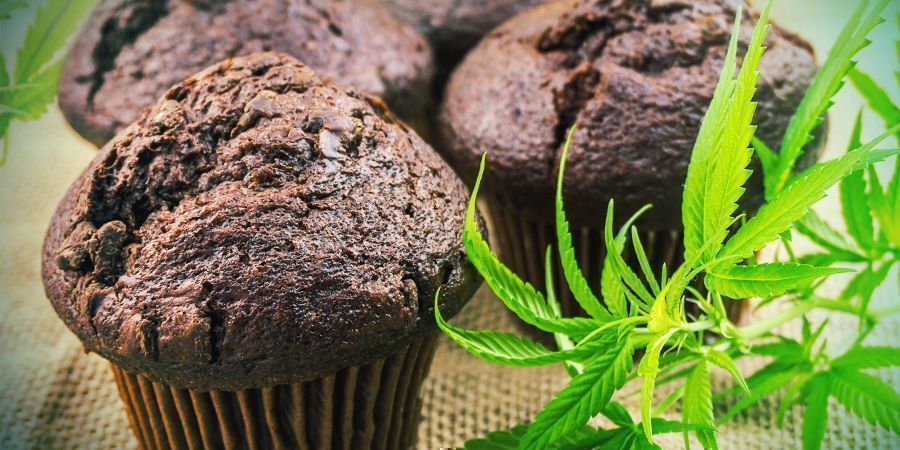 4%+ Biologinen hyötyosuus: syötävät BIOAVAILABILITY: CANNABIS EDIBLES