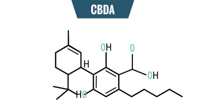 CBDA:n kemia CBDA:n kemia