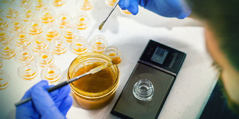 Mikä on live resin? Mikä on live resin?