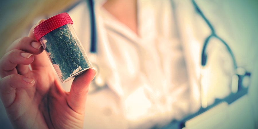 Kannabinoidien vaihtoehtoisten lähteiden merkitys Kannabinoidien vaihtoehtoisten lähteiden merkitys