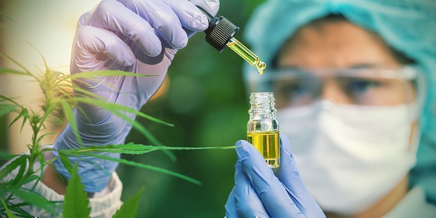 CBD sitoutuu kannabinoidireseptoreihin CBD Binds To Cannabinoid Receptors