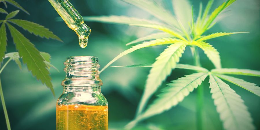 CBD on ainoa hampusta/kannabiksesta löytyvä terapeuttinen yhdiste CBD Is The Only Therapeutic Compound Found In Hemp/cannabis