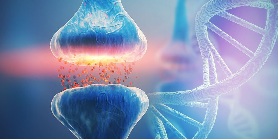 Dna ja endokannabinoidijärjestelmä DNA AND THE ENDOCANNABINOID SYSTEM