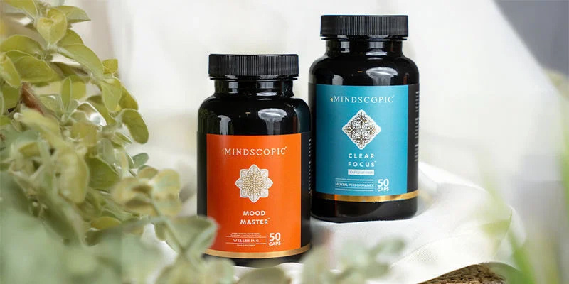 Lion's mane & other mushroom supplements Lion's mane & other mushroom supplements