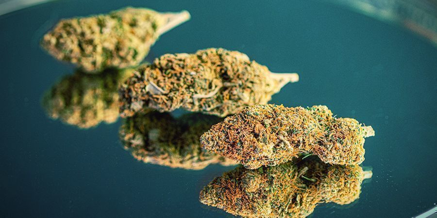 Weed Weed
