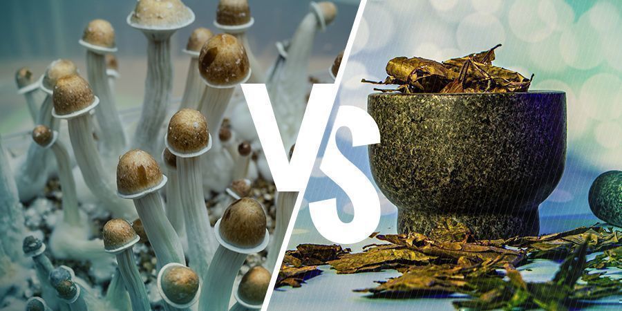 Psilocybiini vs DMT: yhtäläisyydet ja erot Psilocybin Vs Dmt: Similarities And Differences