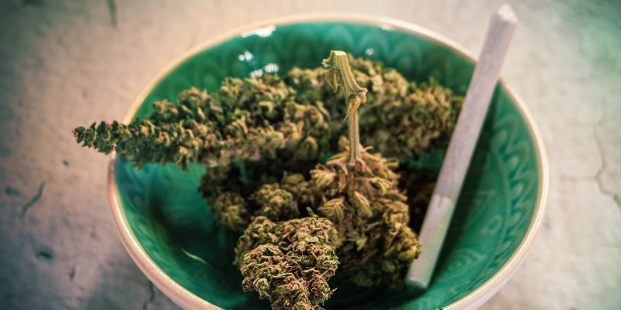 Voiko vanhaa kannabista polttaa?