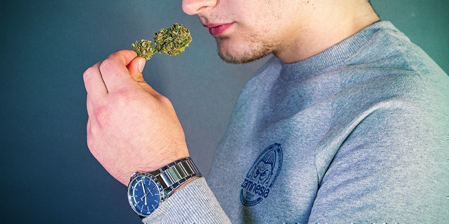 Voiko kannabis vanhentua?