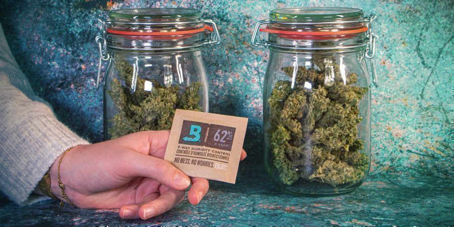 S&auml;ilyt&auml; kannabis viile&auml;ss&auml;, kuivassa ja pime&auml;ss&auml; paikassa