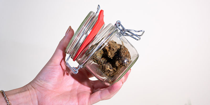 Kuinka tuuletat kannabiskukat oikein Kuinka tuuletat kannabiskukat oikein