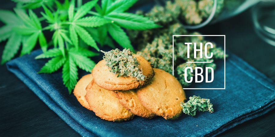 Mikä on ero CBD- ja THC-syötävien välillä? Mikä on ero CBD- ja THC-kannabissyötävien välillä?