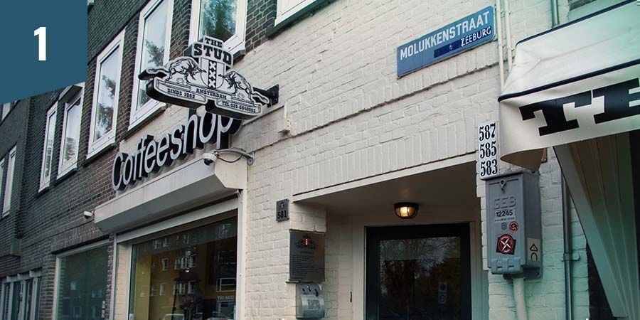 The Stud -coffeeshop Amsterdamissa The Stud -coffeeshop Amsterdamissa – paras indica-kukka