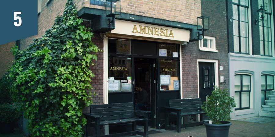 Coffeeshop Amnesia Amsterdam Coffeeshop Amnesia Amsterdam - Paras indica-kukka