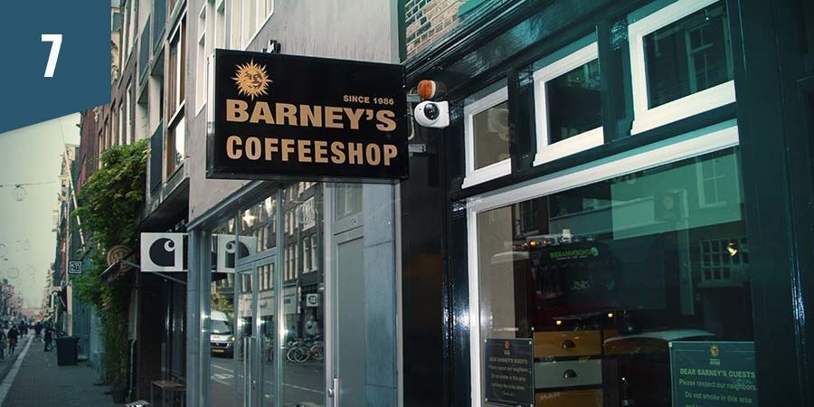 Barney's Coffeeshop Amsterdam Barney's Coffeeshop Amsterdam - Paras indica-kukinto