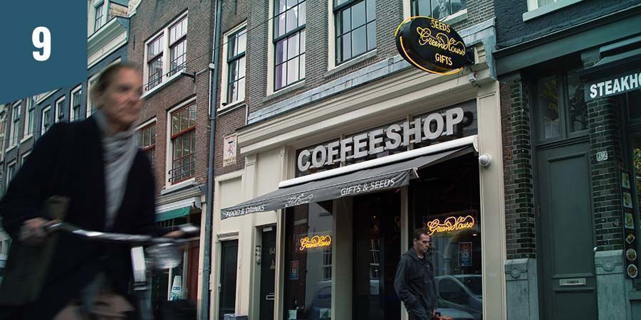 Green House Coffeeshop Amsterdam Green House Coffeeshop Amsterdam - paras indica-kukka