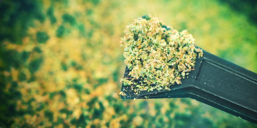 Kief Kief