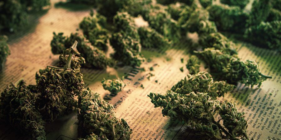 Kannabiksen kukintojen käyttö e-nesteen valmistukseen USING CANNABIS BUDS TO MAKE E-LIQUID