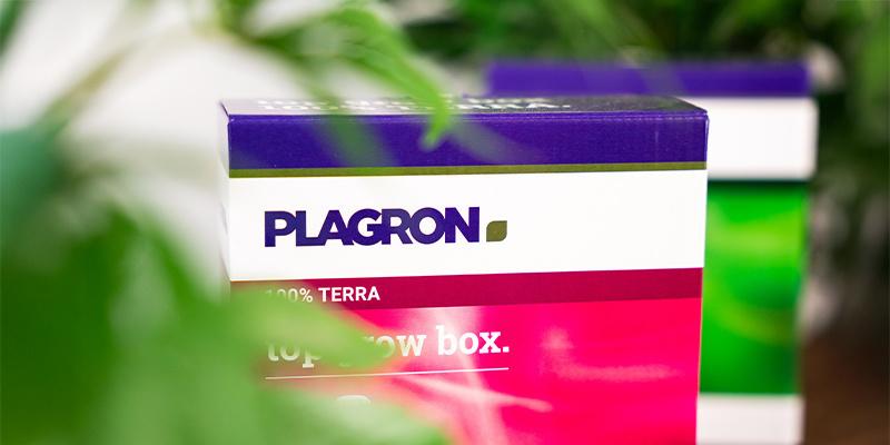 Plagron: Keitä he ovat ja mitä he tekevät? Plagron: Keitä he ovat ja mitä he tekevät?