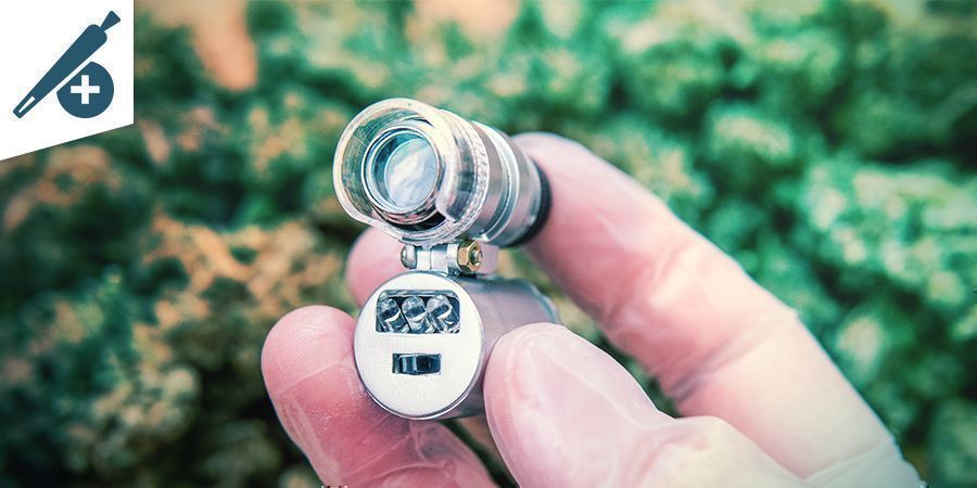 Mikroskooppien hyödyt polttajille MIKROSKOOPPIEN HYÖDYT KANNABIKSEN POLTTAJILLE