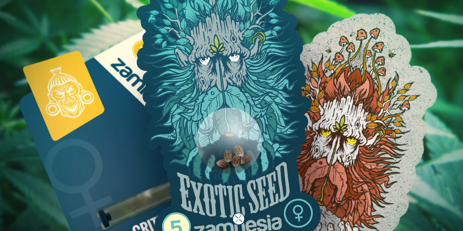 Zamnesia ja Exotic Seed: voimakas yhteistyö ZAMNESIA AND EXOTIC SEED: A POTENT COLLABORATION