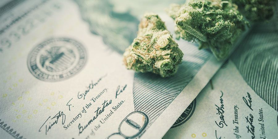 Kannabiksen kasvatuksessa energian säästämisen merkitys Kannabiksen kasvatuksessa energian säästämisen merkitys