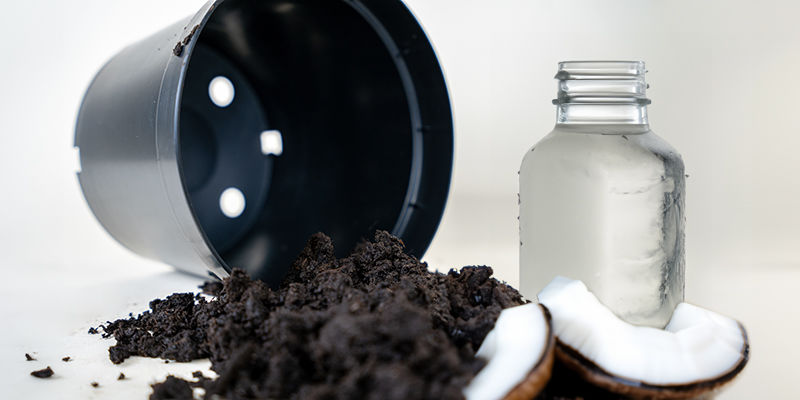 Kookosvesi Coconut Water