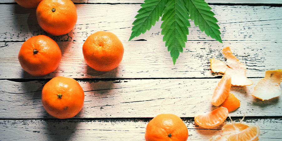 Tangerine Dream: Maku ja vaikutukset TANGERINE DREAM: FLAVOUR AND EFFECTS