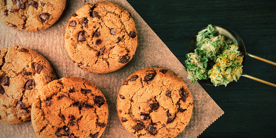 Cookies Kush: Maku ja vaikutukset COOKIES KUSH: FLAVOUR AND EFFECTS