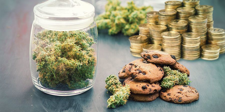 Kannabikseen tuhlaaminen vain syötäviä varten Kannabikseen tuhlaaminen vain syötäviä varten