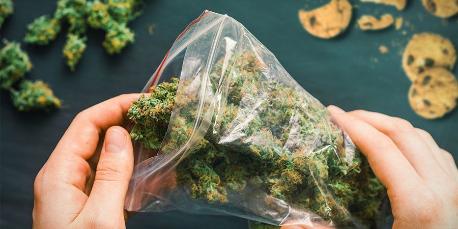 Liikaa kannabista