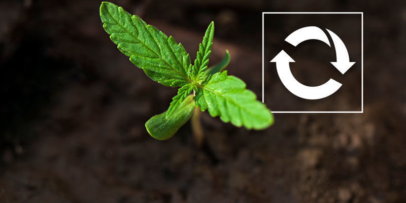 Uudelleenkäytettävä Reusable - Growing Cannabis