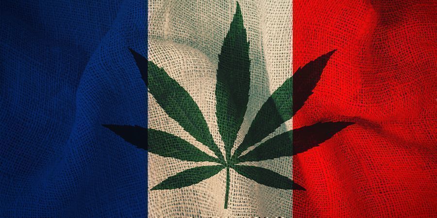 Komitean suunnitelma Ranska ja kannabis: komitean suunnitelma