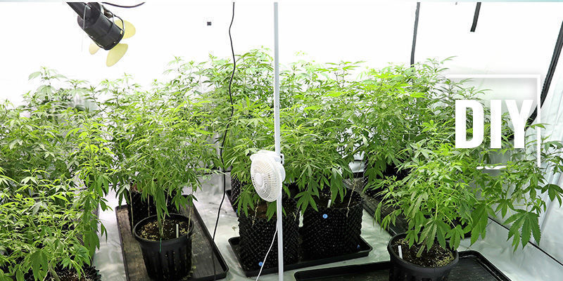 Kuinka tehd&auml; kotitekoinen ilmankostutin kannabiksen kasvatushuoneeseen