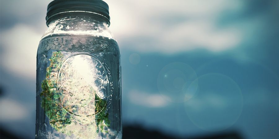 Vaiheittaiset ohjeet Kuinka valmistaa kannabissuolaa: vaiheittaiset ohjeet