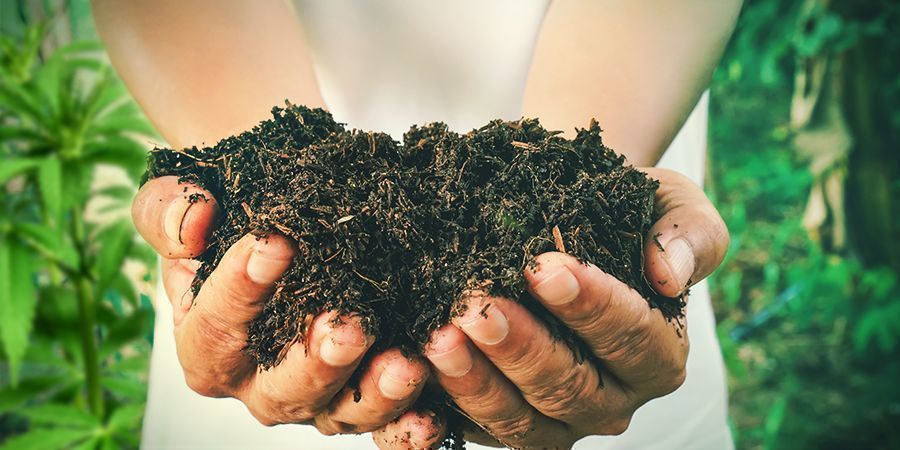 Kuinka tehdä omaa kompostia kannabiskasveille KUINKA TEHDÄ OMAA KOMPOSTIA KANNABISKASVEILLE