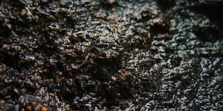 Märkä ja limainen komposti WET AND SLIMY COMPOST