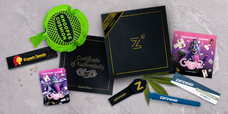 Gigglez Feminized (Expert Seeds & Zamnesia) Gigglez Feminized (Expert Seeds & Zamnesia)