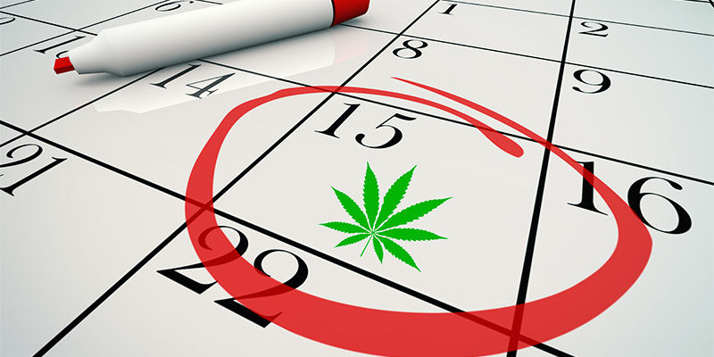 Kärsimättömyys CBD:n vaikutusten suhteen Kärsimättömyys CBD:n vaikutusten suhteen