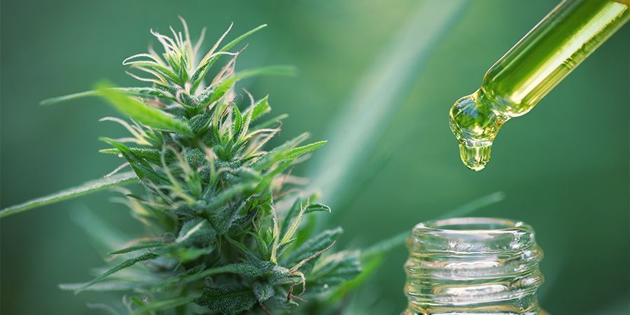 Laske oikea annos Kannabistiivisteet syötävissä: laske oikea annos
