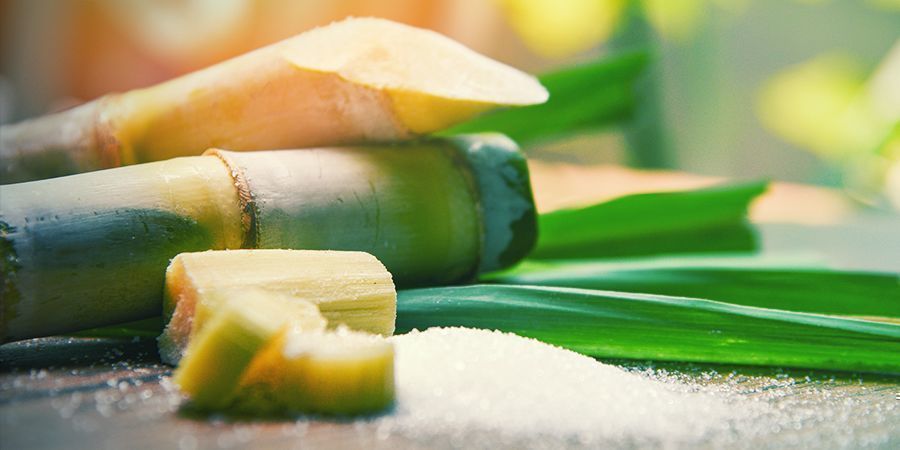 Sakkaroosin ja lipidien tasot Sakkaroosin ja lipidien tasot