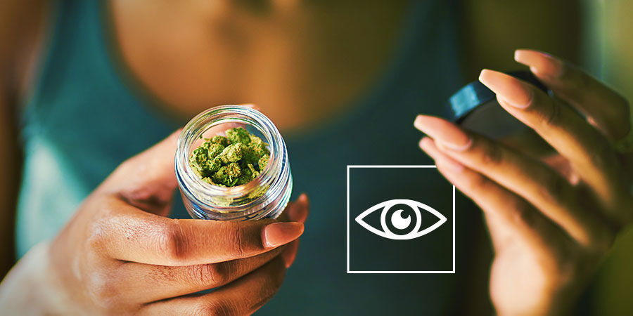 Tarkista kukinnot silmämääräisesti Kuinka tunnistaa kannabiksen epäpuhtaudet: tarkista kukinnot silmämääräisesti