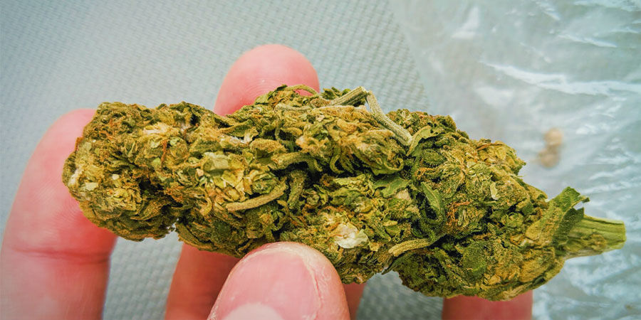 Hiekka Kannabiksen epäpuhtaudet: hiekka
