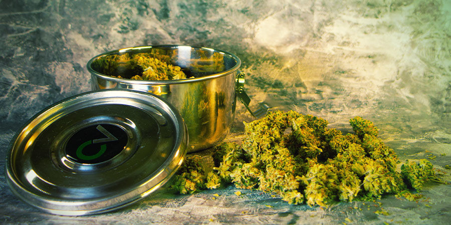 Mit&auml; tarvitset kannabiksen sadonkorjuun j&auml;lkeen?