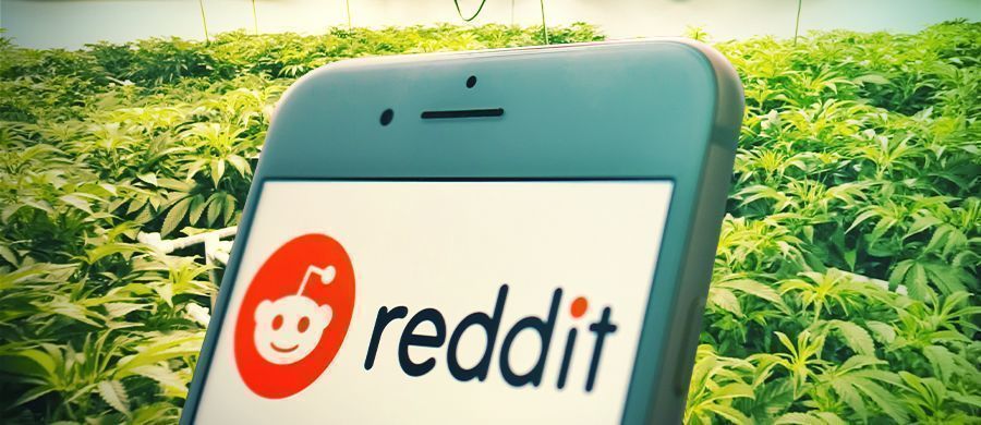 Miksi ja miten pilvenpolttajat voivat hyödyntää Redditiä kannabistiedon lähteenä Miksi ja miten pilvenpolttajat voivat hyödyntää Redditiä kannabistiedon lähteenä