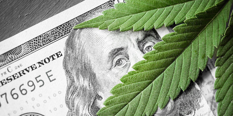 Kannattaako kannabisalalla työskentely? Kannattaako kannabisalalla työskentely?