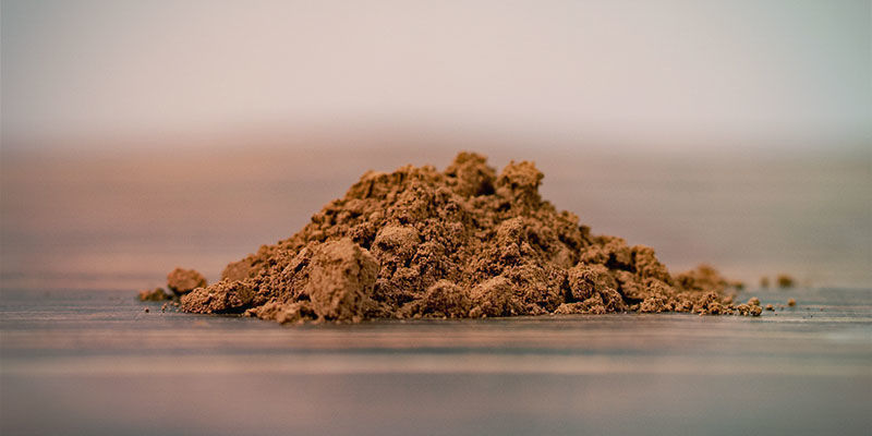Jauhe Reishi Powder