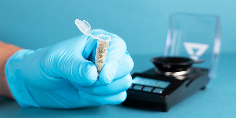 Miksi kannabistuotteiden THC- ja CBD-pitoisuudet kannattaa testata? Why Test Thc & Cbd Levels In Cannabis Products?