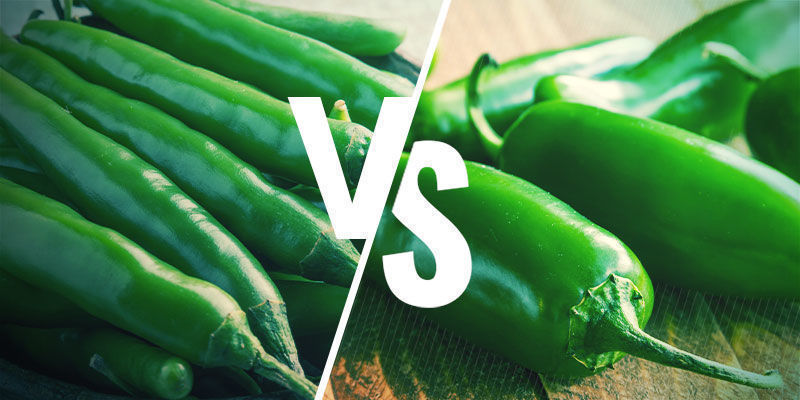Ovatko vihreät chilit ja jalapeñot sama asia? Ovatko vihreät chilit ja jalapeñot sama asia?