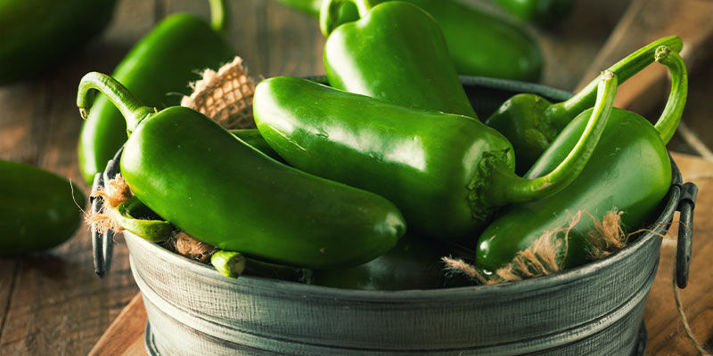 Aloita paprikaprojektisi jo tänään – vain askel jalapeño-taivaaseen Aloita paprikaprojektisi jo tänään – vain askel jalapeño-taivaaseen