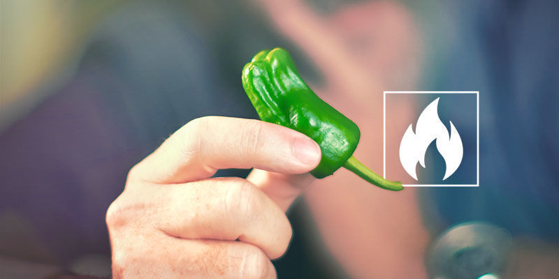 Kuinka tulisia jalapeñot ovat? Kuinka tulisia jalapeñot ovat?